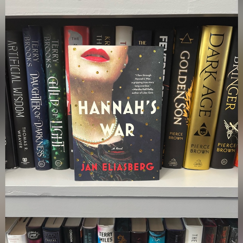 Hannah’s War by Jan Eliasberg (paperback)